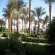 حديقة  فندق أبروتيل مكادي بيتش - الغردقة | هوتيلز عربي