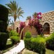حديقة  فندق قرية الياسمين - الغردقة | هوتيلز عربي