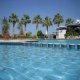 حمام السباحة  فندق سي شيل - الغردقة | هوتيلز عربي