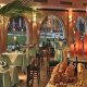 مطعم  فندق ستيلا مكادي بيتش ريزورت - الغردقة | هوتيلز عربي