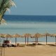 شاطئ  فندق توليب ماجيك ريزورت - مرسى علم | هوتيلز عربي