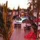 حمام سباحة فندق أوشن كلوب - شرم الشيخ | هوتيلز عربي