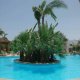 حمام السباحة  فندق سونستا كلوب - شرم الشيخ | هوتيلز عربي