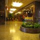 استقبال  فندق أستوريا - دبي | هوتيلز عربي