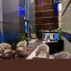 لوبي  فندق السلام للأجنحة الفندقية والشقق - دبي | هوتيلز عربي