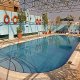 حمام سباحة  فندق ديلمون - دبي | هوتيلز عربي
